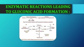 ENZYMATIC REACTIONS LEADING
TO GLUCONIC ACID FORMATION :
 