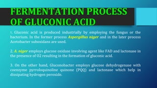 FERMENTATION PROCESS
OF GLUCONIC ACID
1. Gluconic acid is produced industrially by employing the fungus or the
bacterium. In the former process Aspergillus niger and in the later process
Acetobacter suboxidans are used.
2. A. niger employs glucose oxidase involving agent like FAD and lactonase in
the presence of O2 resulting in the formation of gluconic acid.
3. On the other hand, Gluconobacter employs glucose dehydrogenase with
coenzyme pyrroloquinoline quinone (PQQ) and lactonase which help in
dissipating hydrogen peroxide.
 