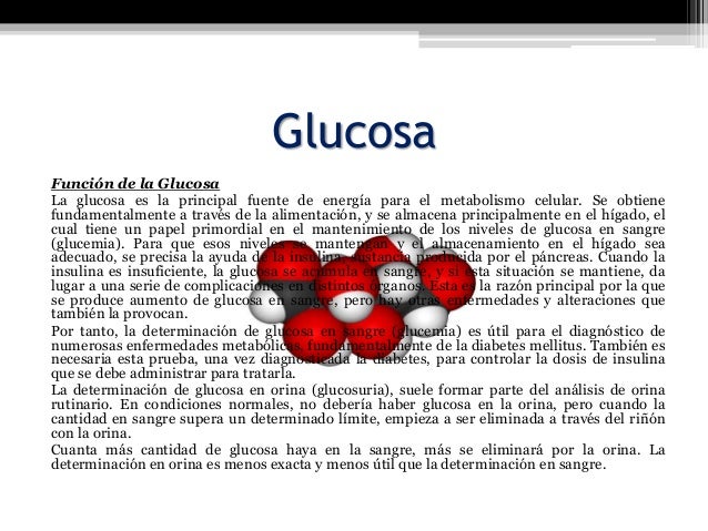 Glucosa.equipo01 Glucosa.equipo01