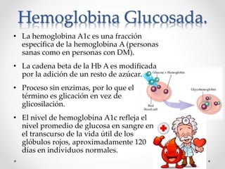 Hemoglobina Glucosada.
• La hemoglobina A1c es una fracción
específica de la hemoglobina A (personas
sanas como en personas con DM).
• La cadena beta de la Hb A es modificada
por la adición de un resto de azúcar.
• Proceso sin enzimas, por lo que el
término es glicación en vez de
glicosilación.
• El nivel de hemoglobina A1c refleja el
nivel promedio de glucosa en sangre en
el transcurso de la vida útil de los
glóbulos rojos, aproximadamente 120
días en individuos normales.
 