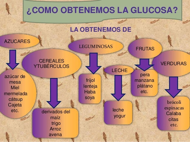 Glucosa expocicion 9898977kkjk.com Glucosa expocicion 9898977kkjk.com