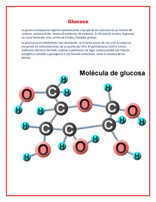 Glucosa 
La glucosa (compuesto orgánico perteneciente al grupo de los azúcares) es un hidrato de 
carbono, monosacárido, hexosa (6 moléculas de carbono). En disolución acuosa, la glucosa 
se cierra formando unos anillos de 6 lados, llamados piranos. 
La glucosa es el carbohidrato más abundante, se le llama azúcar de uva y en la sangre se 
encuentra en concentraciones de un gramo por litro. Al polimerizarse (unirse a otras 
moléculas idénticas formado cadenas o polímeros) da lugar a polisacáridos con función 
energética (almidón y glucógeno) o con función estructural, como la celulosa de las 
plantas. 
 