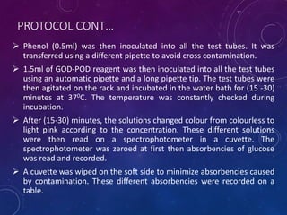 PROTOCOL CONT…
 Phenol (0.5ml) was then inoculated into all the test tubes. It was
transferred using a different pipette to avoid cross contamination.
 1.5ml of GOD-POD reagent was then inoculated into all the test tubes
using an automatic pipette and a long pipette tip. The test tubes were
then agitated on the rack and incubated in the water bath for (15 -30)
minutes at 370C. The temperature was constantly checked during
incubation.
 After (15-30) minutes, the solutions changed colour from colourless to
light pink according to the concentration. These different solutions
were then read on a spectrophotometer in a cuvette. The
spectrophotometer was zeroed at first then absorbencies of glucose
was read and recorded.
 A cuvette was wiped on the soft side to minimize absorbencies caused
by contamination. These different absorbencies were recorded on a
table.
 