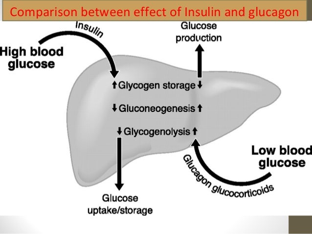 My glucose level is 206 right after eating a big bowl of soup. - Quora My glucose level is 206 right after eating a big bowl of soup. - Quora