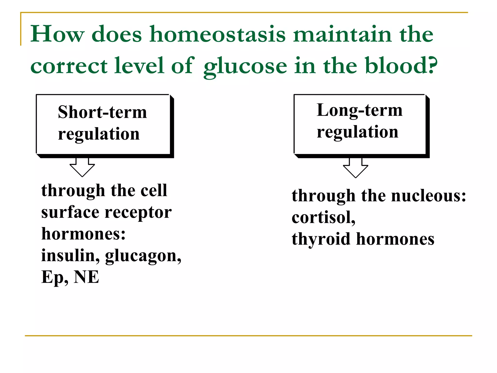 Glucose Homeostasis | PPT