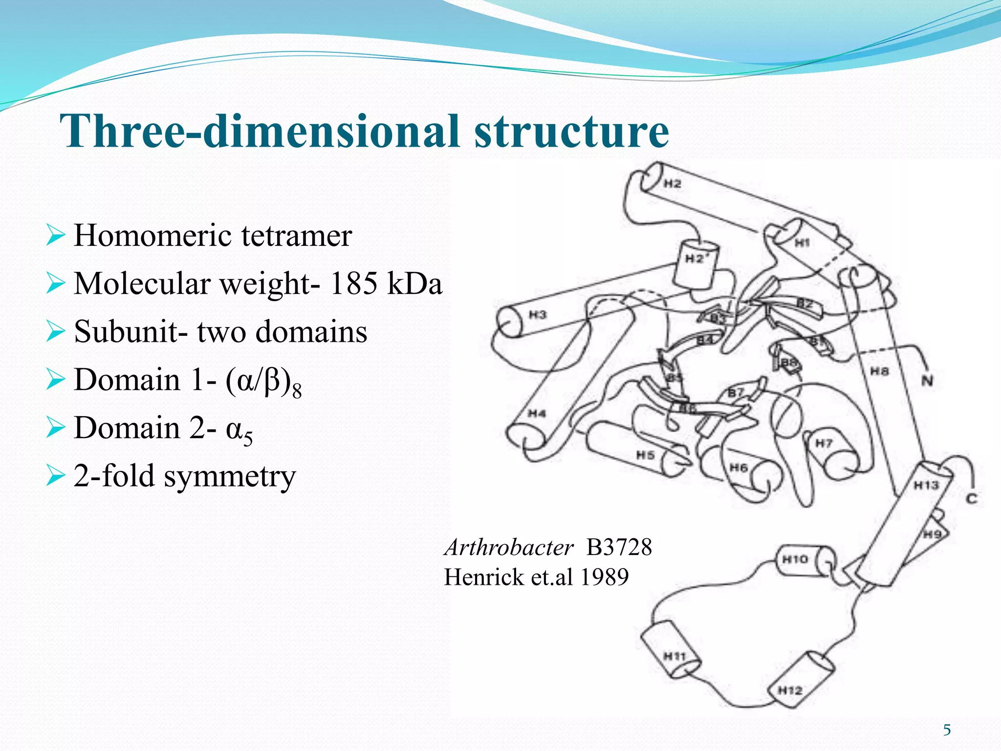  Homomeric tetramer
 Molecular weight- 185 kDa
 Subunit- two domains
 Domain 1- (α/β)8
 Domain 2- α5
 2-fold symmetry
5
Arthrobacter B3728
Henrick et.al 1989
Three-dimensional structure
 