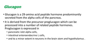 • Glucagon is a 29-amino acid peptide hormone predominantly
secreted from the alpha cells of the pancreas.
• It is derived from the precursor proglucagon which can be
processed into a number of related peptide hormones.
Proglucagon is expressed in
• pancreatic islet alpha cells,
• intestinal enteroendocrine L cells,
• and to a minor extent in neurons in the brain stem and hypothalamus .
Glucagon
 
