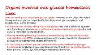 Organs involved into glucose homeostasis
Liver:
Does not need insulin to facilitate glucose uptake. However, insulin plays a key role in
the regulation of glucose output by the liver. It prevents gluconeogenesis and
breakdown of stored glycogen.
• In fed state liver removes about 70% of the glucose load that is delivered by portal
vein from the gut, which is partly oxidised and partly converted to glycogen for next
use as a fuel under fasting conditions.
• Glucose exceeding these requirements is metabolized by the liver into fatty acids
and triacylglycerols (TAG), which are incorporated into very low-density lipoproteins
(VLDL) and transported into adipose tissue stores.
• In the fasting state blood glucose concentration is maintained by liver glycogen
breakdown while glycogen stores last (several hours), and then by gluconeogenesis
from glycerol, lactate, pyruvate and gluconeogenic amino acids.
 