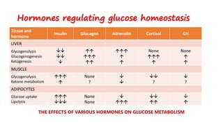 Hormones regulating glucose homeostasis
THE EFFECTS OF VARIOUS HORMONES ON GLUCOSE METABOLISM
Tissue and
hormone
Insulin Glucagon Adrenalin Cortisol GH
LIVER
Glycogenolysis
Glucogenogenesis
Ketogenesis









None


None


MUSCLE
Glycogenolysis
Ketone metabolism


None
?



?

?
ADIPOCYTES
Glucose uptake
Lipolysis


None
None






 