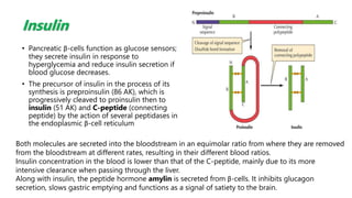 Insulin
• Pancreatic β-cells function as glucose sensors;
they secrete insulin in response to
hyperglycemia and reduce insulin secretion if
blood glucose decreases.
• The precursor of insulin in the process of its
synthesis is preproinsulin (86 AK), which is
progressively cleaved to proinsulin then to
insulin (51 AK) and C-peptide (connecting
peptide) by the action of several peptidases in
the endoplasmic β-cell reticulum
Both molecules are secreted into the bloodstream in an equimolar ratio from where they are removed
from the bloodstream at different rates, resulting in their different blood ratios.
Insulin concentration in the blood is lower than that of the C-peptide, mainly due to its more
intensive clearance when passing through the liver.
Along with insulin, the peptide hormone amylin is secreted from β-cells. It inhibits glucagon
secretion, slows gastric emptying and functions as a signal of satiety to the brain.
 