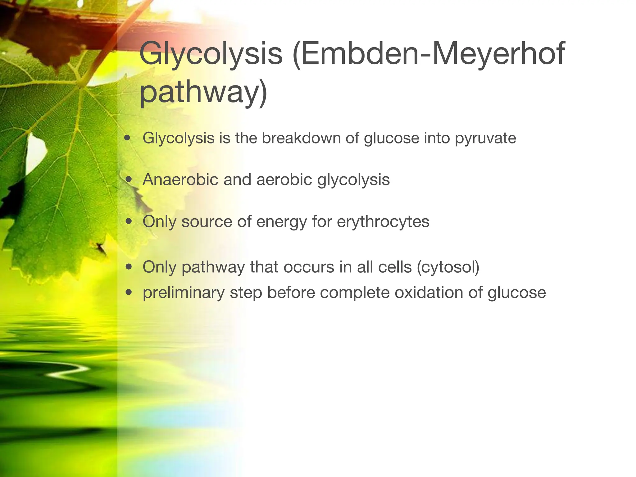 glucose metabolism and gluconeogenesis.pptx