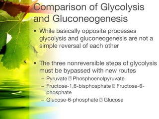 glucose metabolism and gluconeogenesis.pptx