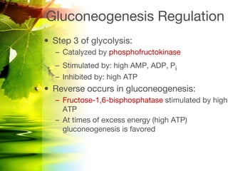 glucose metabolism and gluconeogenesis.pptx