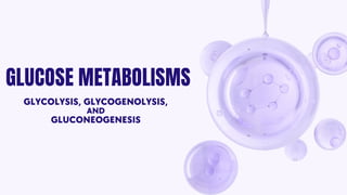 Details of Glucose Metabolism and its steps.pdf