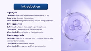 Details of Glucose Metabolism and its steps.pdf