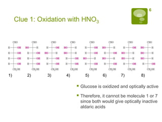 6

     Clue 1: Oxidation with HNO3




1)       2)    3)    4)       5)       6)        7)        8)

                           Glucose is oxidized and optically active
                           Therefore, it cannot be molecule 1 or 7
                            since both would give optically inactive
                            aldaric acids
 