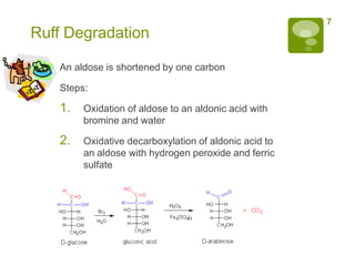 7
Ruff Degradation

   An aldose is shortened by one carbon

   Steps:

   1.   Oxidation of aldose to an aldonic acid with
        bromine and water

   2.   Oxidative decarboxylation of aldonic acid to
        an aldose with hydrogen peroxide and ferric
        sulfate
 