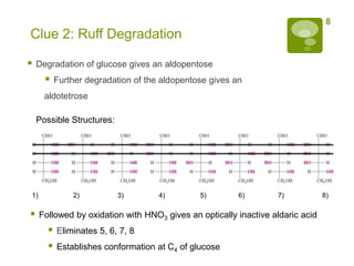 8
Clue 2: Ruff Degradation

   Degradation of glucose gives an aldopentose
          Further degradation of the aldopentose gives an
      aldotetrose

    Possible Structures:




1)             2)          3)        4)        5)        6)       7)            8)

    Followed by oxidation with HNO3 gives an optically inactive aldaric acid
          Eliminates 5, 6, 7, 8
          Establishes conformation at C4 of glucose
 