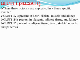 GLUT11 (SLC2A11)
These three isoforms are expressed in a tissue specific
manner.
GLUT11A is present in heart, skeletal muscle and kidney .
GLUT11B is present in placenta, adipose tissue, and kidney.
GLUT11C present in adipose tissue, heart, skeletal muscle
and pancreas .
 