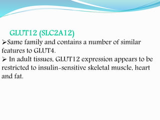 GLUT12 (SLC2A12)
Same family and contains a number of similar
features to GLUT4.
 In adult tissues, GLUT12 expression appears to be
restricted to insulin-sensitive skeletal muscle, heart
and fat.
 