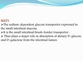 SGLT1
The sodium-dependent glucose transporter expressed in
the small intestinal mucosa.
It is the small intestinal brush-border transporter .
 Thus plays a major role in absorption of dietary D-glucose
and D-galactose from the intestinal lumen.
 