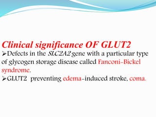 Clinical significance OF GLUT2
Defects in the SLC2A2 gene with a particular type
of glycogen storage disease called Fanconi-Bickel
syndrome.
GLUT2 preventing edema-induced stroke, coma.
 