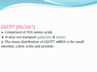 GLUT7 (SLC2A7)
 Comprised of 524 amino acids.
 It does not transport galactose & xylose
 The tissue distribution of GLUT7 mRNA is the small
intestine, colon, testis and prostate .
 