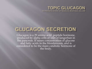 Glucagon is a 29 amino acid peptide hormone,
produced by alpha cells of islet of langerhan in
the pancreas. It raises concentration of glucose
and fatty acids in the bloodstream, and is
considered to be the main catabolic hormone of
the body.
 