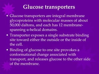 Glucose transporters
• Glucose transporters are integral membrane
  glycoproteins with molecular masses of about
  50,000 daltons, and each has 12 membrane-
  spanning α-helical domains.
• Transporter exposes a single substrate binding
  site toward either the outside or the inside of
  the cell.
• Binding of glucose to one site provokes a
  conformational change associated with
  transport, and releases glucose to the other side
  of the membrane.
 