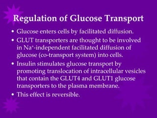 Regulation of Glucose Transport
• Glucose enters cells by facilitated diffusion.
• GLUT transporters are thought to be involved
  in Na+-independent facilitated diffusion of
  glucose (co-transport system) into cells.
• Insulin stimulates glucose transport by
  promoting translocation of intracellular vesicles
  that contain the GLUT4 and GLUT1 glucose
  transporters to the plasma membrane.
• This effect is reversible.
 