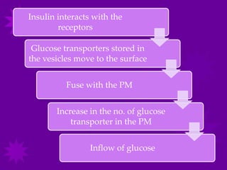 Insulin interacts with the
        receptors

 Glucose transporters stored in
the vesicles move to the surface


          Fuse with the PM


       Increase in the no. of glucose
           transporter in the PM


                 Inflow of glucose
 