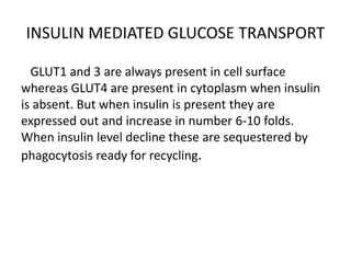 INSULIN MEDIATED GLUCOSE TRANSPORT
GLUT1 and 3 are always present in cell surface
whereas GLUT4 are present in cytoplasm when insulin
is absent. But when insulin is present they are
expressed out and increase in number 6-10 folds.
When insulin level decline these are sequestered by
phagocytosis ready for recycling.
 