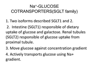 Na+-GLUCOSE
COTRANSPORTERS(SGLT family)
1. Two isoforms described SGLT1 and 2.
2. Intestine (SGLT1) responsible of dietary
uptake of glucose and galactose. Renal tubules
(SGLT2) responsible of glucose uptake from
proximal tubule.
3. Move glucose against concentration gradient
4. Actively transports glucose using Na+
gradient.
 