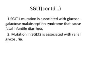 SGLT(contd…)
1.SGLT1 mutation is associated with glucose-
galactose malabsorption syndrome that cause
fatal infantile diarrhea.
2. Mutation in SGLT2 is associated with renal
glycosuria.
 
