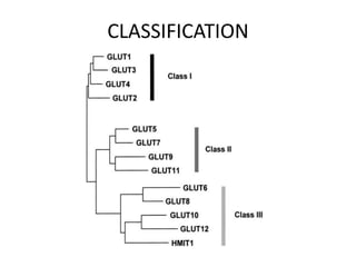 CLASSIFICATION
 