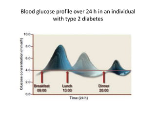 Blood glucose profile over 24 h in an individual
            with type 2 diabetes
 