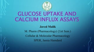 GLUCOSE UPTAKE AND
CALCIUM INFLUX ASSAYS
Javed Malik
M. Pharm (Pharmacology) (1st Sem.)
Cellular & Molecular Pharmacology
SPER, Jamia Hamdard
1
 