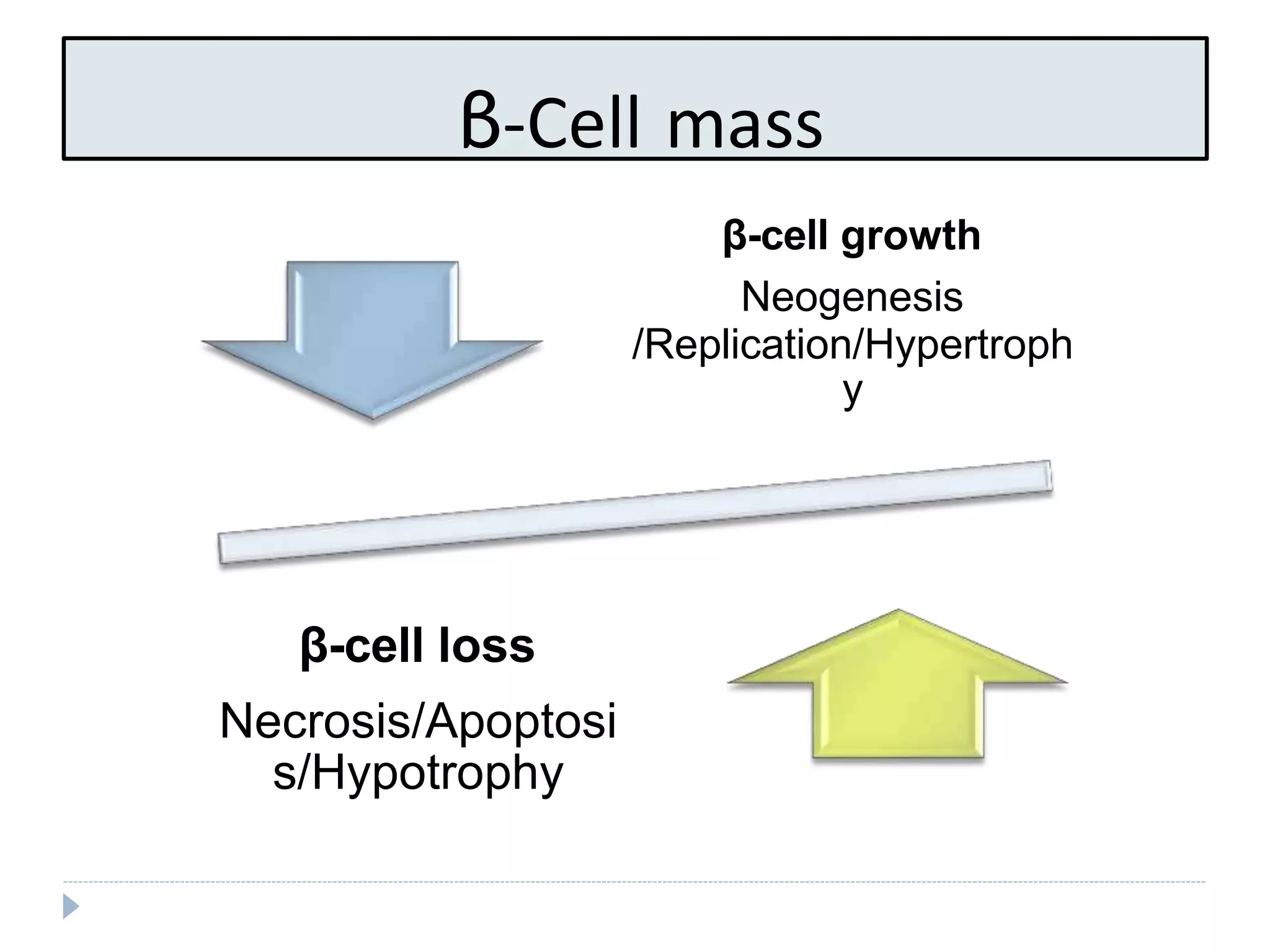β-Cell mass
β-cell growth
Neogenesis
/Replication/Hypertroph
y
β-cell loss
Necrosis/Apoptosi
s/Hypotrophy
 