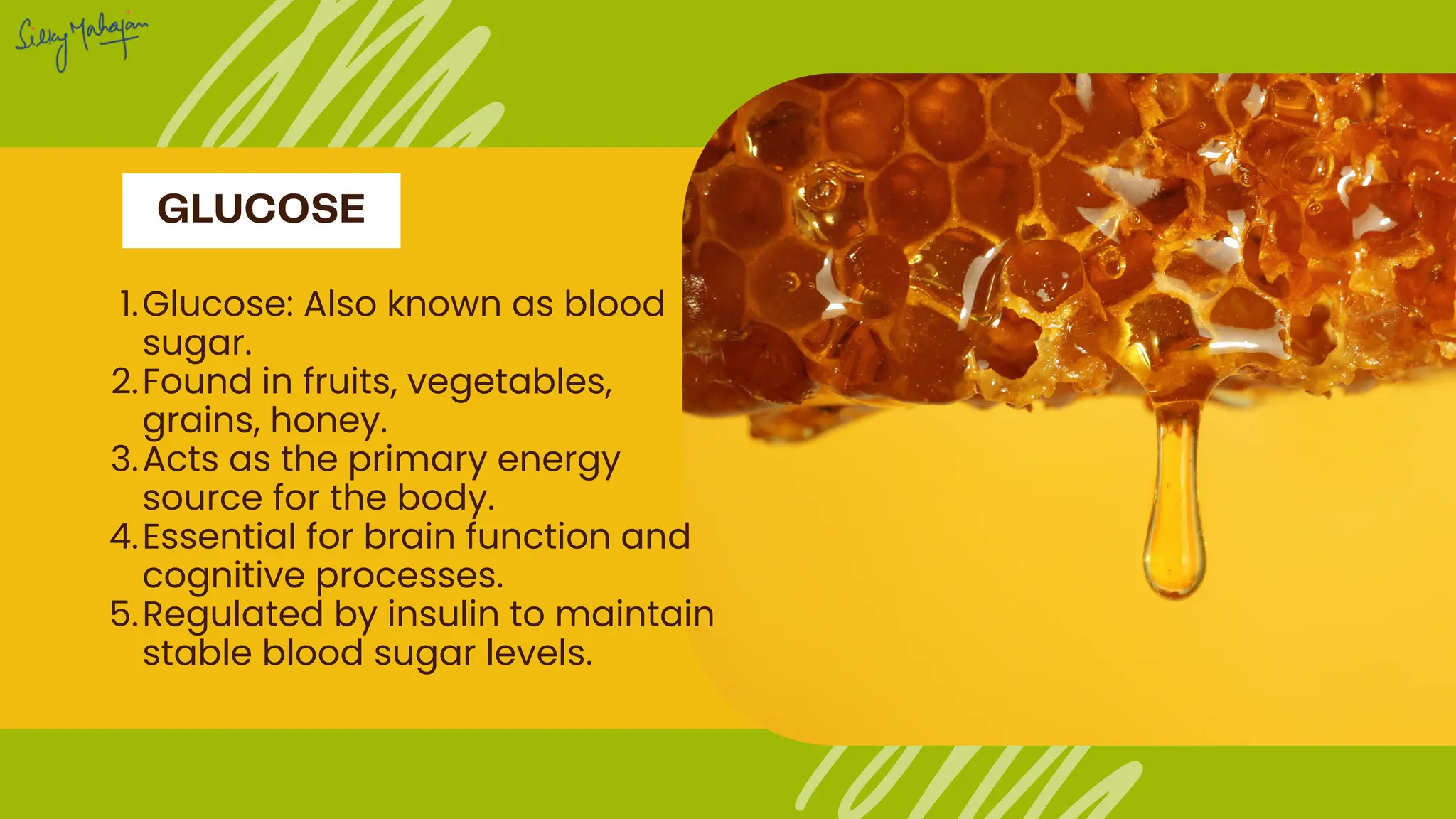Exploring Fructose Vs Glucose Their Impacts And Differences Pdf