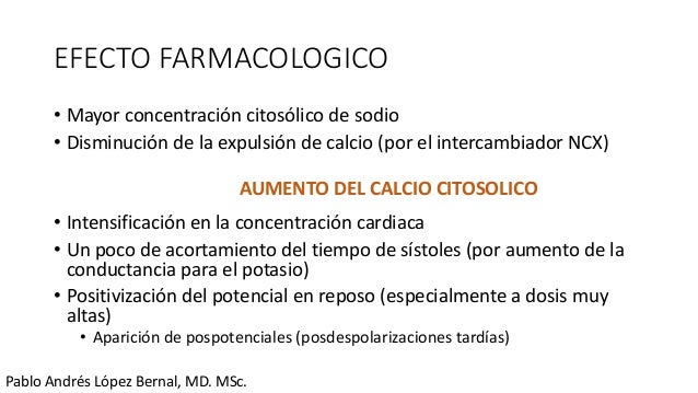 Ivermectin fauci