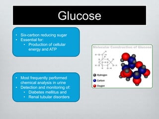 Glucose
• Six-carbon reducing sugar
• Essential for:
• Production of cellular
energy and ATP

• Most frequently performed
chemical analysis in urine
• Detection and monitoring of:
• Diabetes mellitus and
• Renal tubular disorders

 