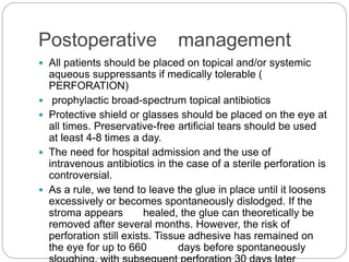 Postoperative management
 All patients should be placed on topical and/or systemic
aqueous suppressants if medically tolerable (
PERFORATION)
 prophylactic broad-spectrum topical antibiotics
 Protective shield or glasses should be placed on the eye at
all times. Preservative-free artificial tears should be used
at least 4-8 times a day.
 The need for hospital admission and the use of
intravenous antibiotics in the case of a sterile perforation is
controversial.
 As a rule, we tend to leave the glue in place until it loosens
excessively or becomes spontaneously dislodged. If the
stroma appears healed, the glue can theoretically be
removed after several months. However, the risk of
perforation still exists. Tissue adhesive has remained on
the eye for up to 660 days before spontaneously
 