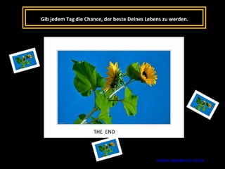 Gib jedem Tag die Chance, der beste Deines Lebens zu werden. THE  END [email_address]   