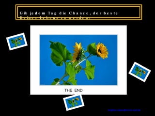 Gib jedem Tag die Chance, der beste Deines Lebens zu werden. THE  END [email_address]   