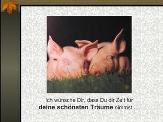 Ich wünsche Dir, dass Du dir Zeit für  deine schönsten Träume  nimmst..... 