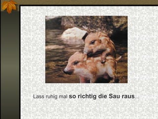 Lass ruhig mal  so richtig die Sau raus ... 