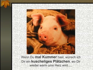 Wenn Du  mal Kummer  hast, wünsch ich Dir ein  kuscheliges Plätzchen , wo Dir wieder warm ums Herz wird..... 