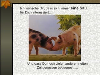 Ich wünsche Dir, dass sich immer  eine Sau  für Dich interessiert.... Und dass Du noch vielen anderen netten Zeitgenossen begegnest..... 