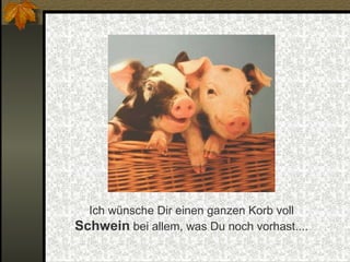 Ich wünsche Dir einen ganzen Korb voll  Schwein  bei allem, was Du noch vorhast.... 