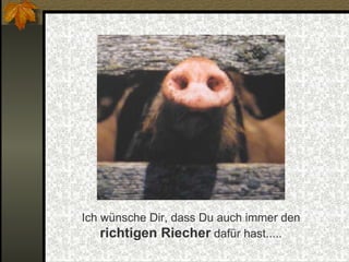 Ich wünsche Dir, dass Du auch immer den  richtigen Riecher  dafür hast..... 